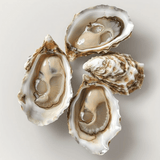 Oyster Bar