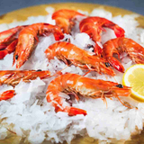 Prawns
