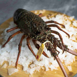 Crustaceans
