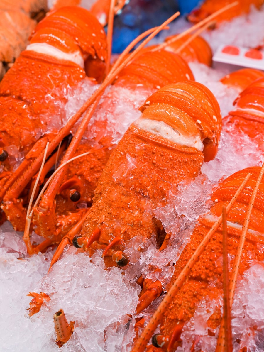 Cooked Western Rock Lobster