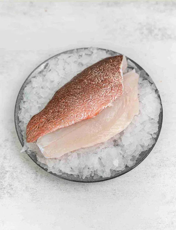 Coral Trout Fillet