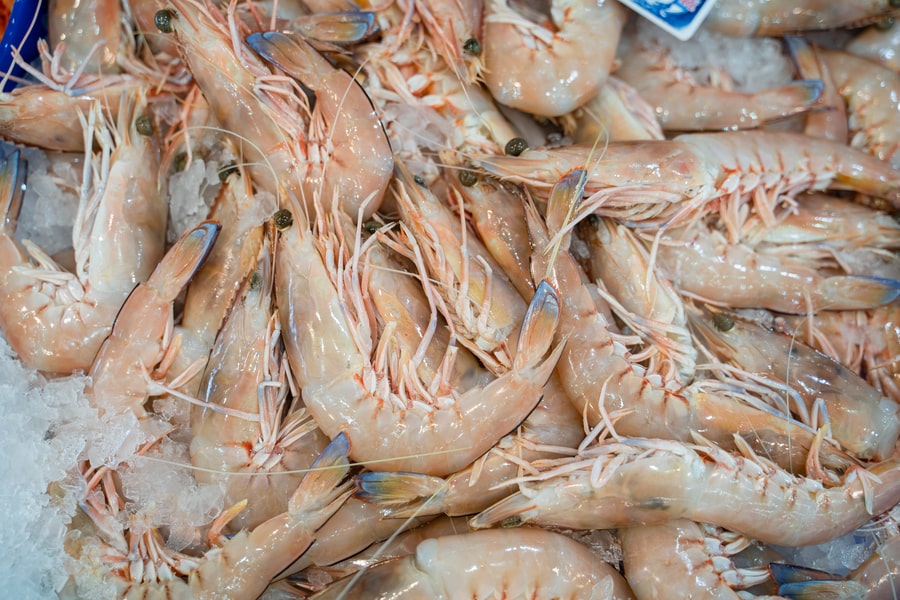 Extra Large Prawns