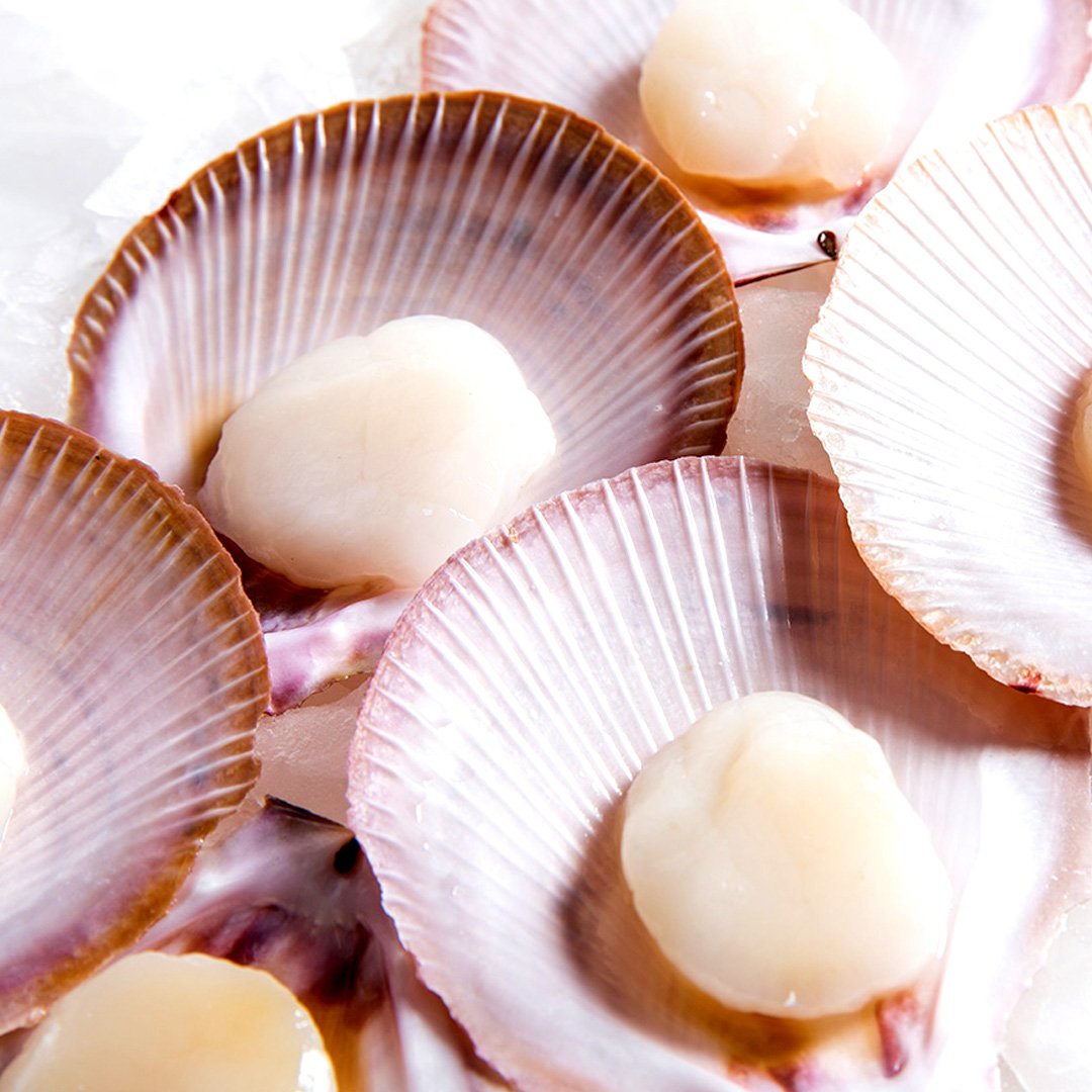 Half-Shell Scallops Roe