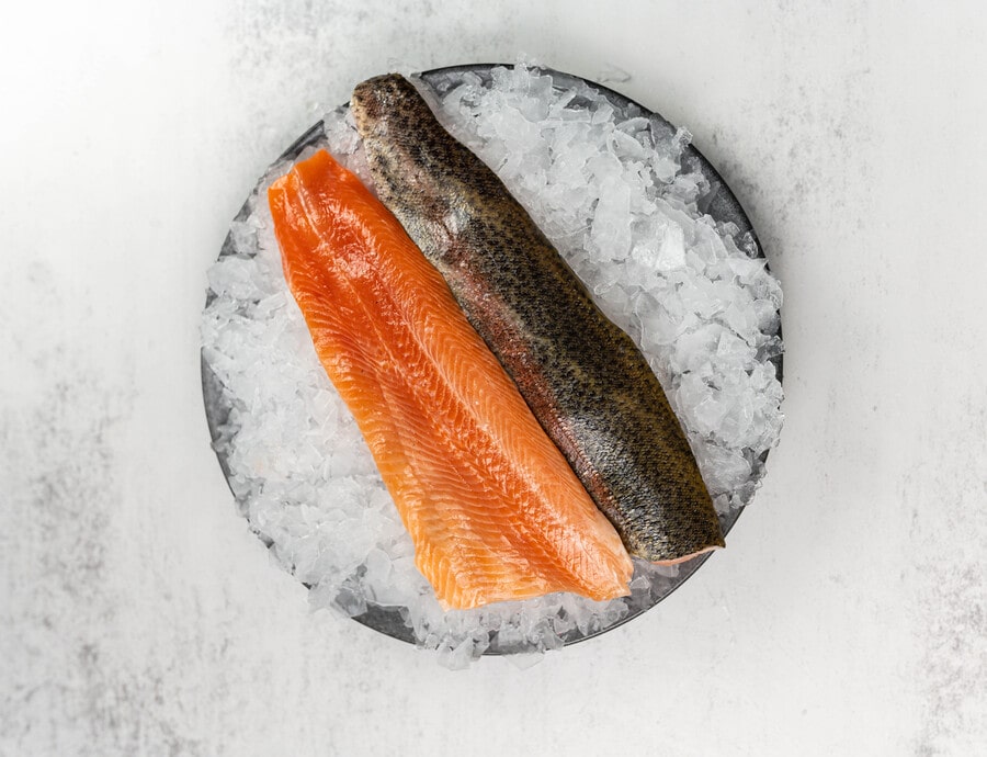 Rainbow Trout Fillets