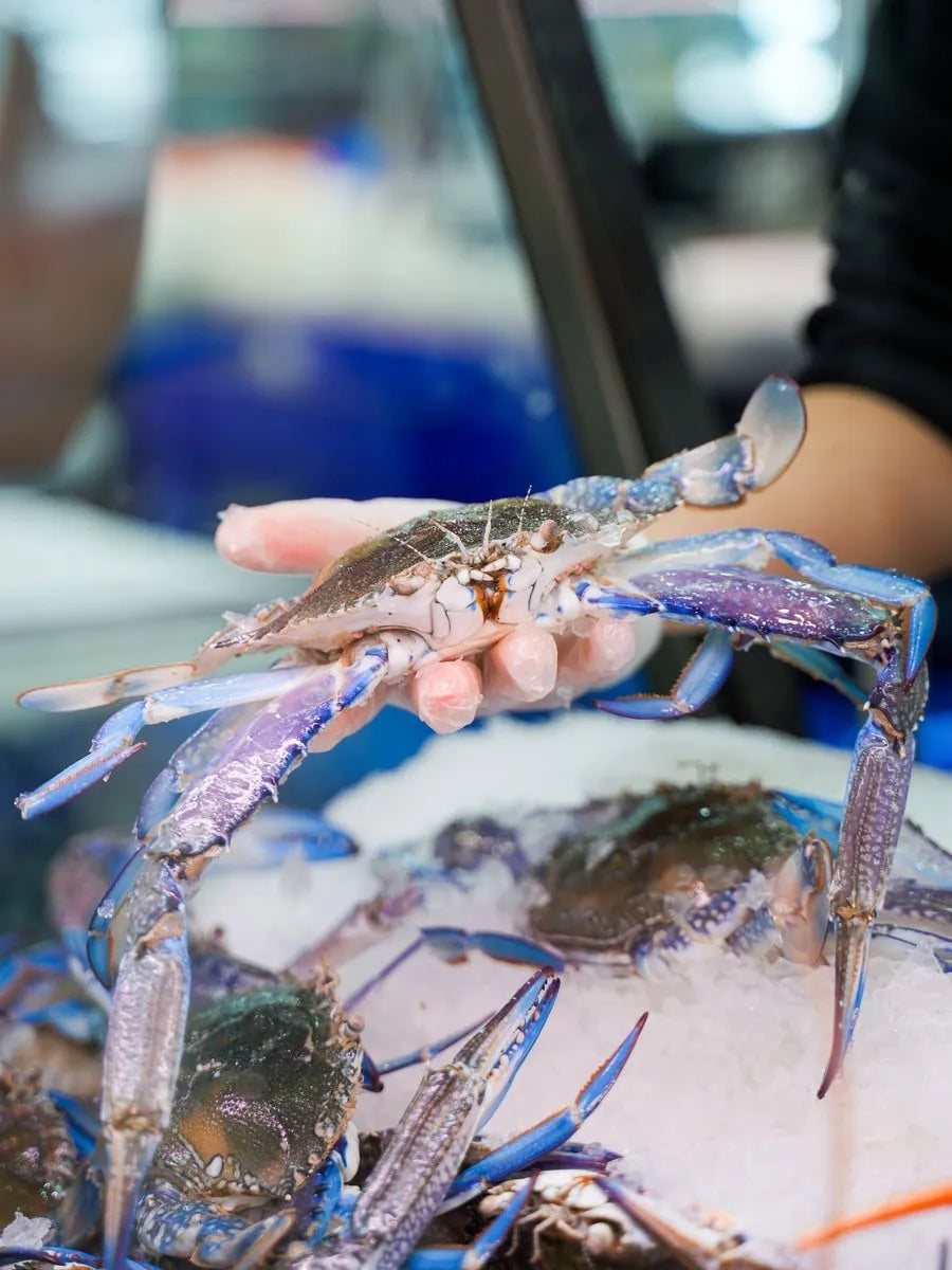 Raw Blue Swimmer Crab