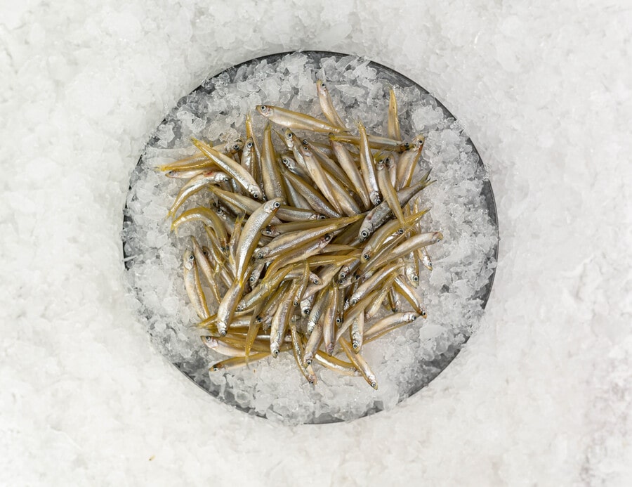 White Bait Frozen