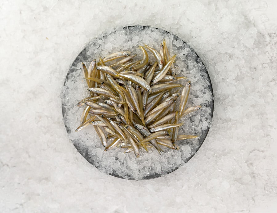 White Bait Frozen