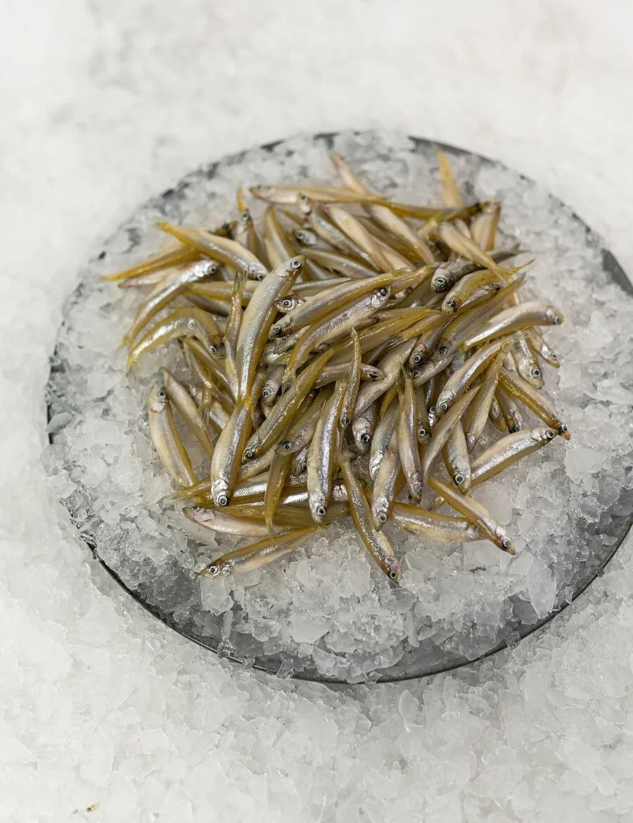 White Bait Frozen