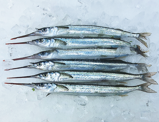 Whole Garfish per 1kg