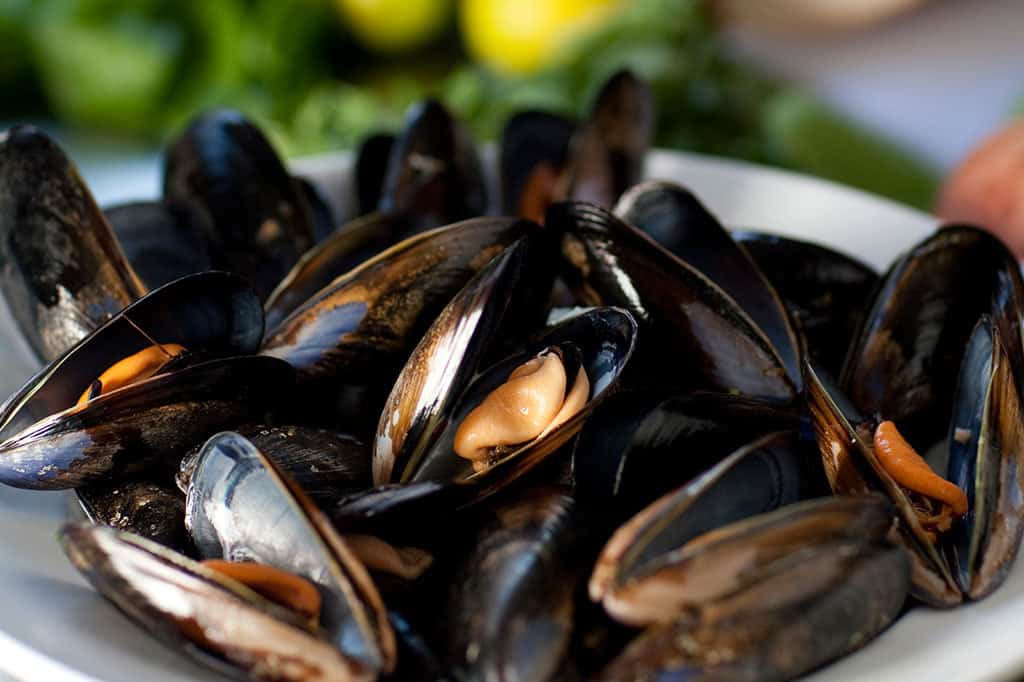 Black Mussels Ready to Cook