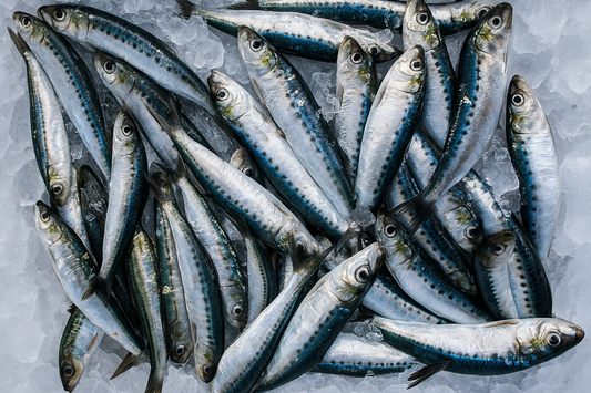Whole Sardines per 1kg