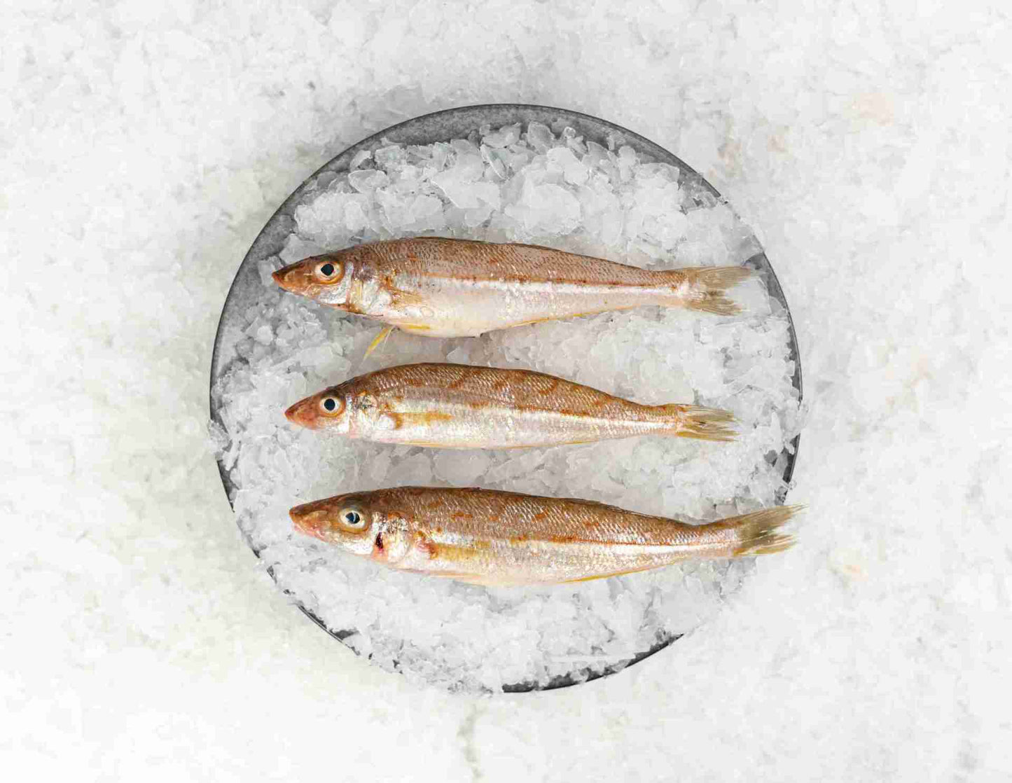 Eastern School Whiting