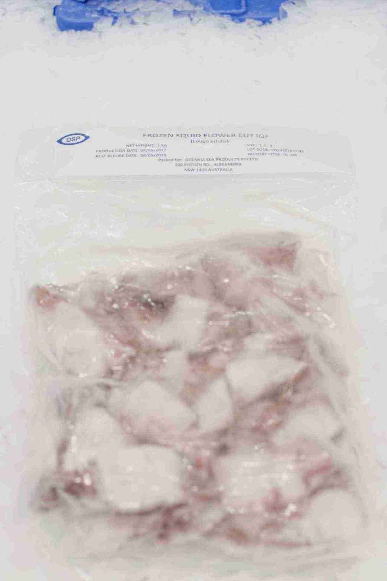 Frozen Squid Flower
