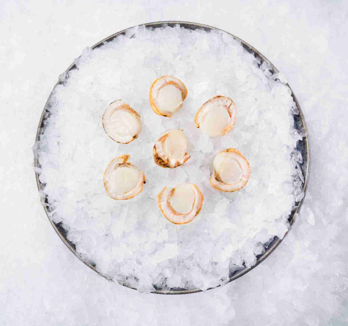 Steamed Baby Scallops