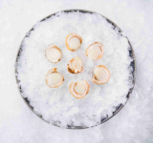 Steamed Baby Scallops