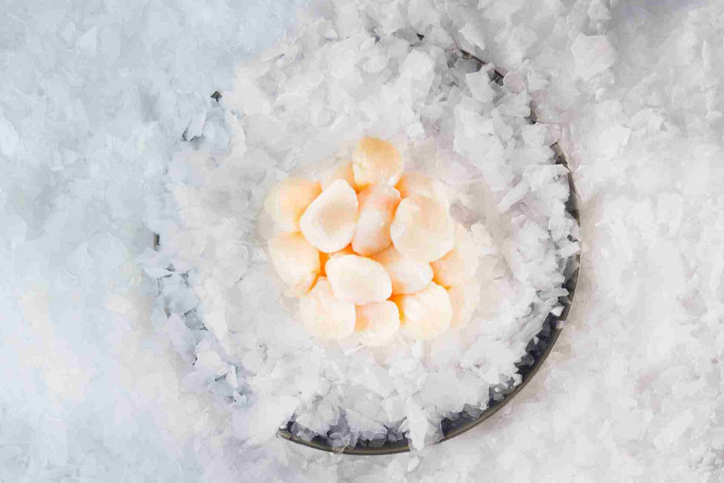 Scallops Roe Off