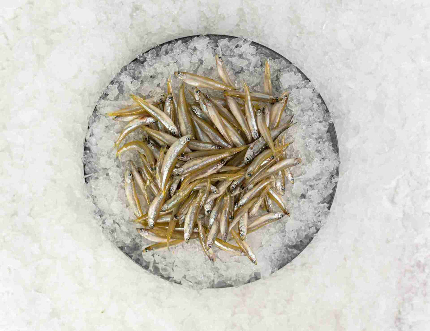 White Bait Frozen