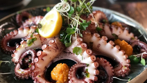 Octopus / Squid