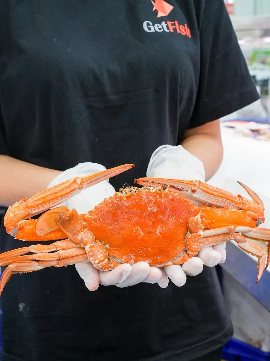 Cooked Blue Swimmer Crab