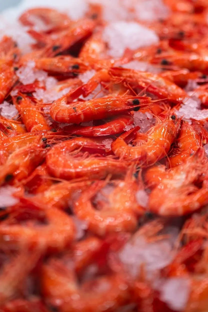 Cooked Extra Large Tiger Prawns