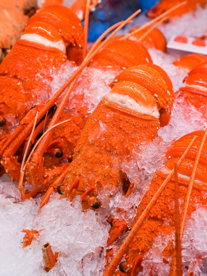 Cooked Western Rock Lobster / EACH