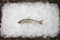 Extra Large Sand Whiting Per 350g Fish