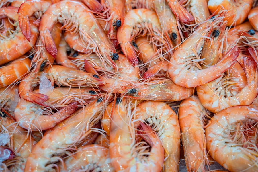 Medium Kings Prawns