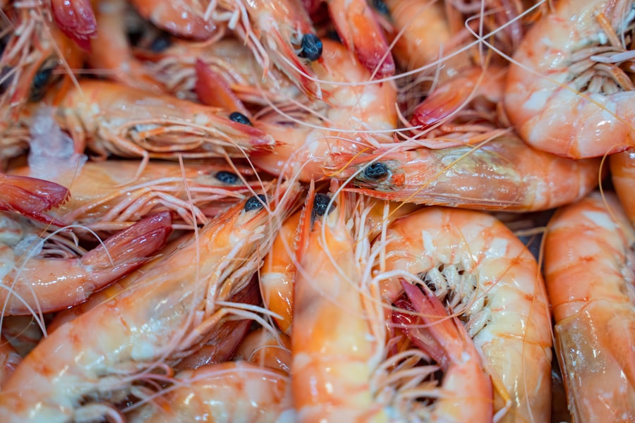 Medium Kings Prawns