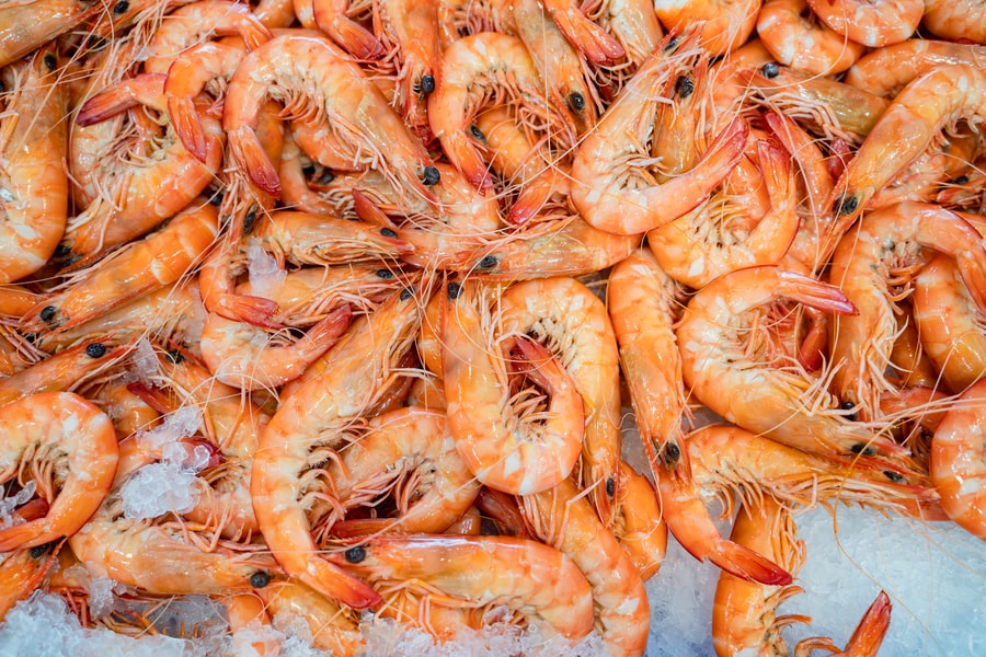 Medium Kings Prawns