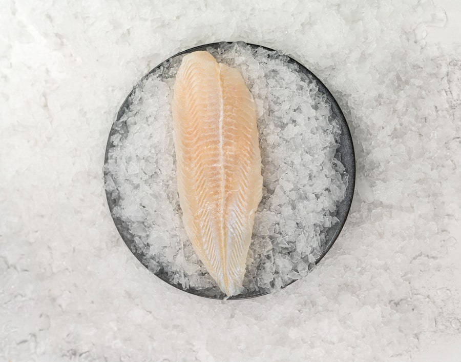 Basa Fillets