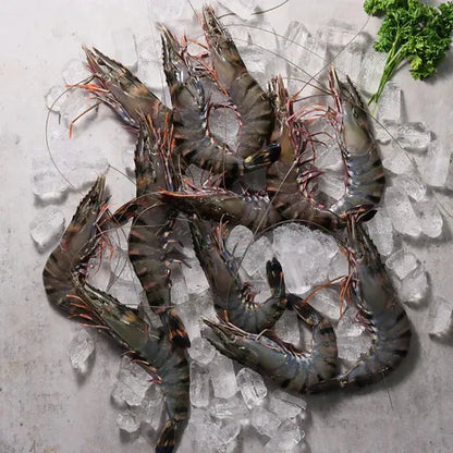 Green Tiger Prawn per 500g