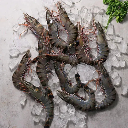 Green Tiger Prawn per 500g