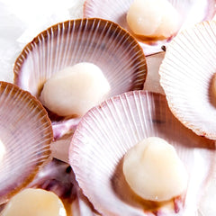 Frozen Half-Shell Scallops Roe Off Dozen Per Packet