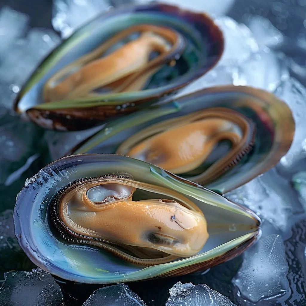 Frozen Shell Frozen NZ Half-Shell Mussels Per Packet – Getfish Seafood