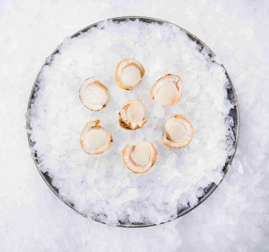 Steamed Baby Scallops