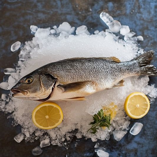 Plate Barramundi