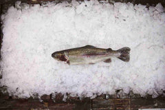 Rainbow Trout 450g Per Fish