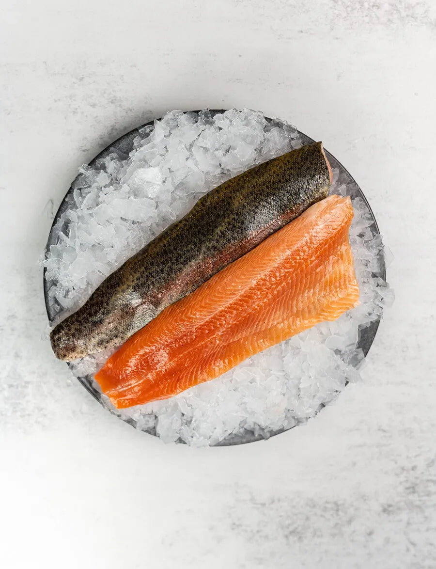 Rainbow Trout Fillets