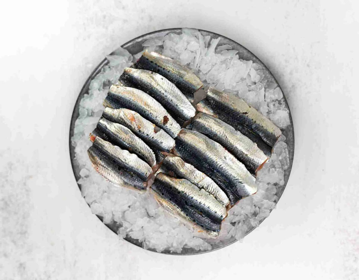 Sardine Fillets in a Packaging