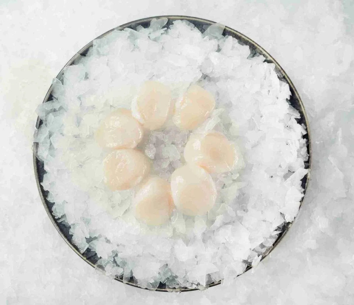Scallops Sashimi