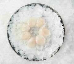 Scallops Sashimi per 100g