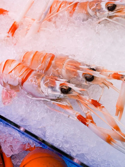 新西兰小虾刺身 - 每件