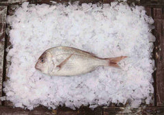 Medium Snapper 1kg Per Fish