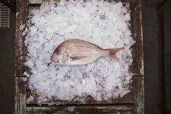 Plate Snapper 400g Per Fish