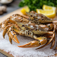 Frozen Soft Shell Crabs 1kg Packet