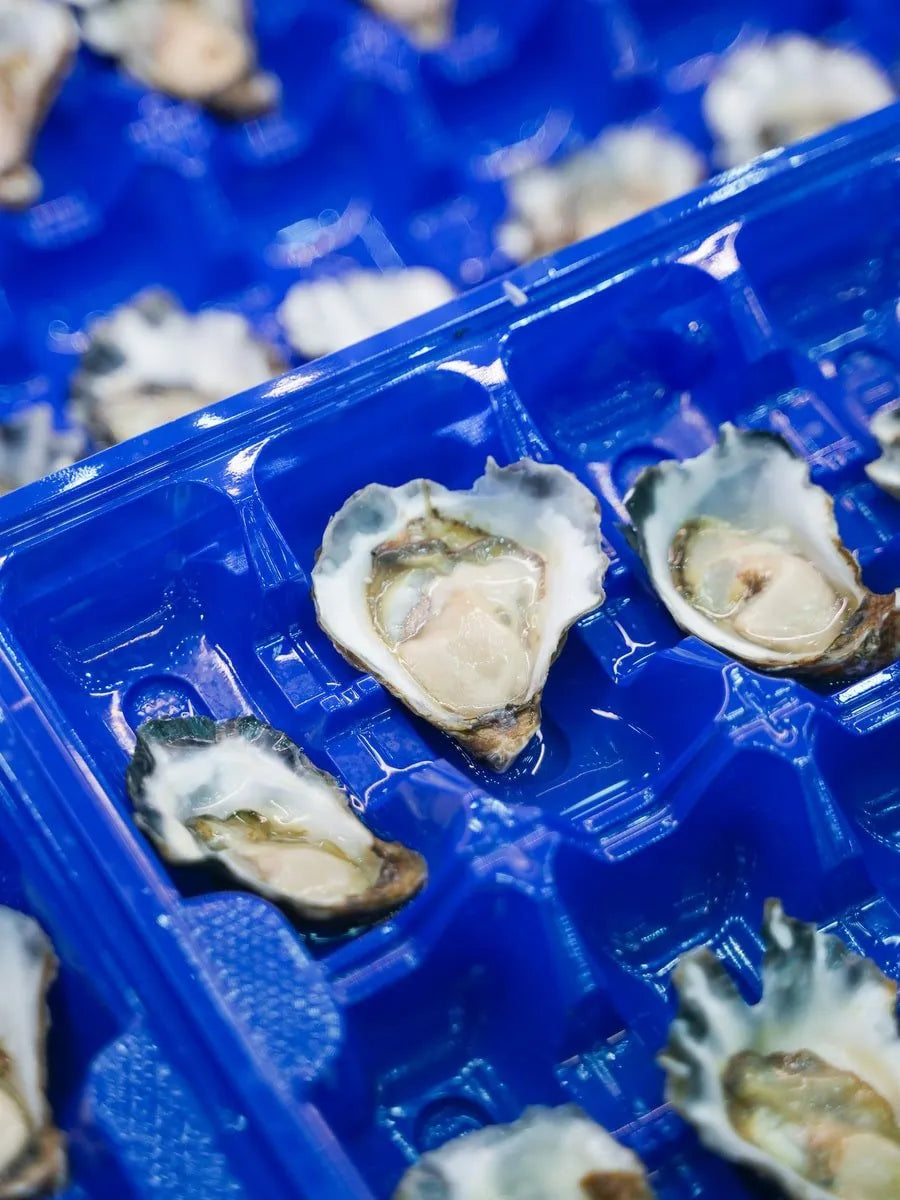 Sydney Rock A Grade Oysters Dozen