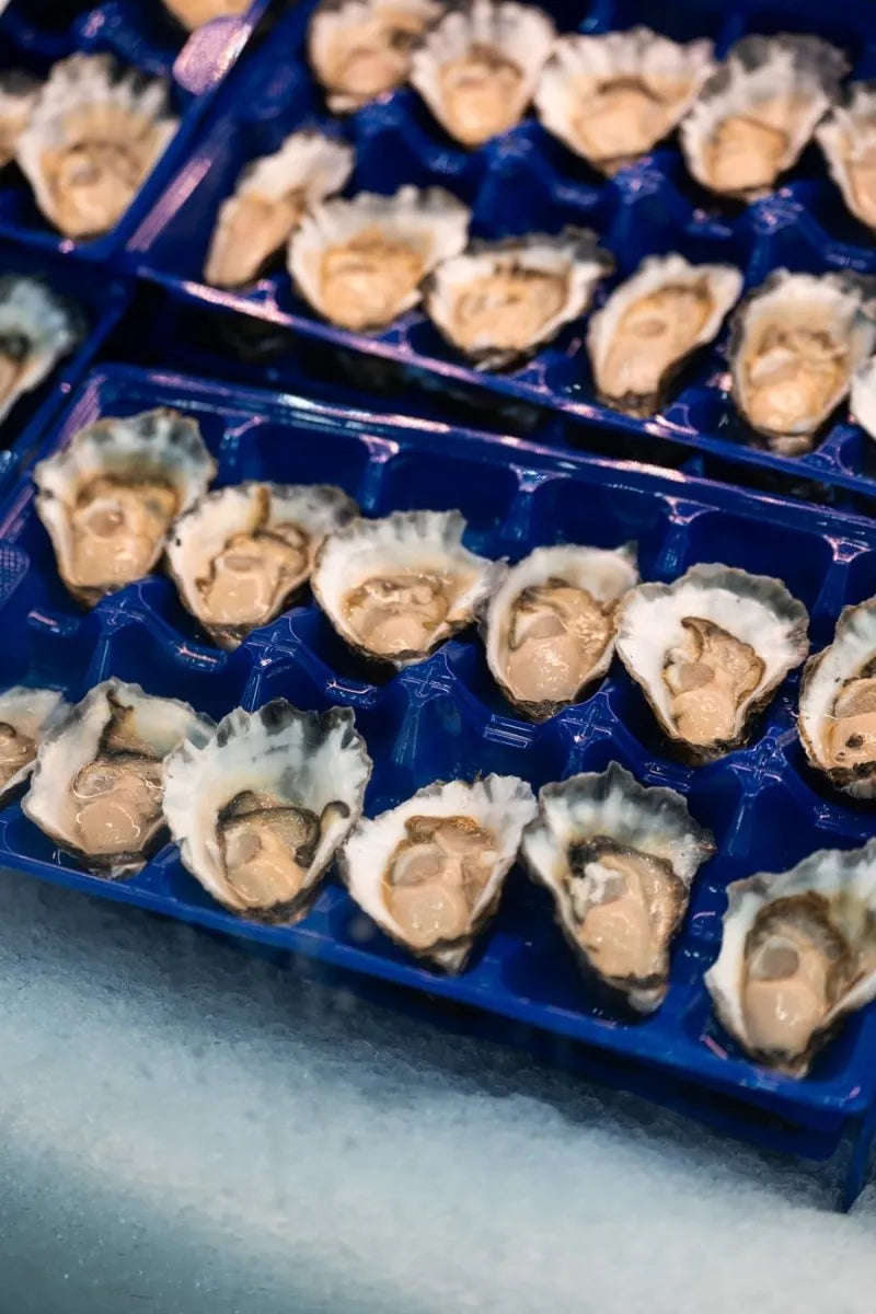 Sydney Rock A Grade Oysters Dozen