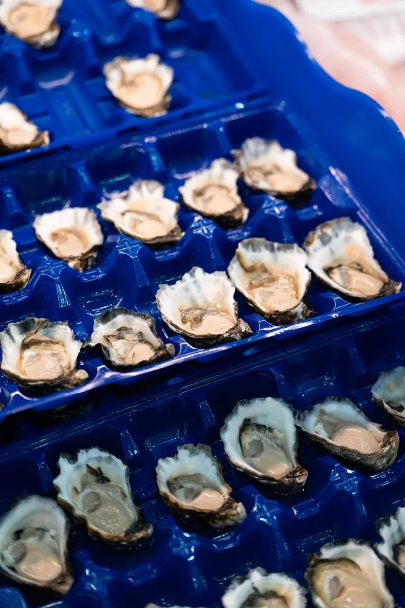 Sydney Rock A Grade Oysters Dozen