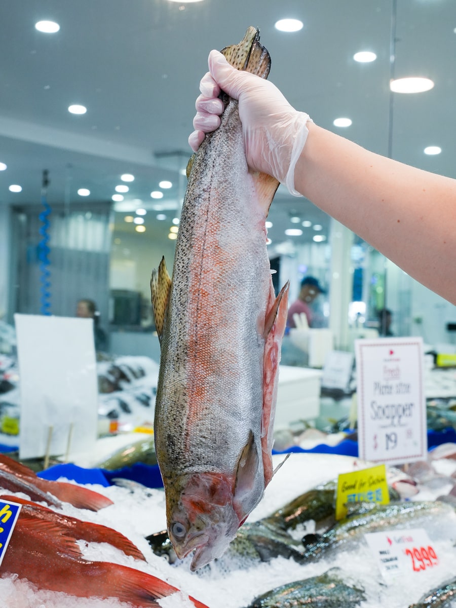 塔斯马尼亚海鳟鱼 3-4 公斤/条
