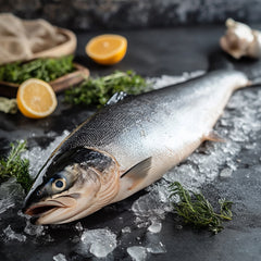 Tasmanian Salmon 4-5kg